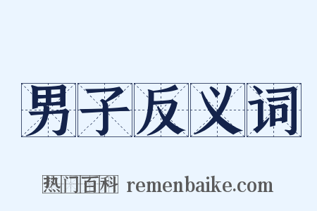 男子反义词是什么意思的图片